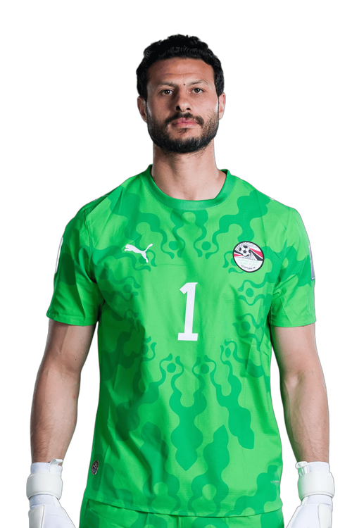 MOHAMED ELSHENAWY