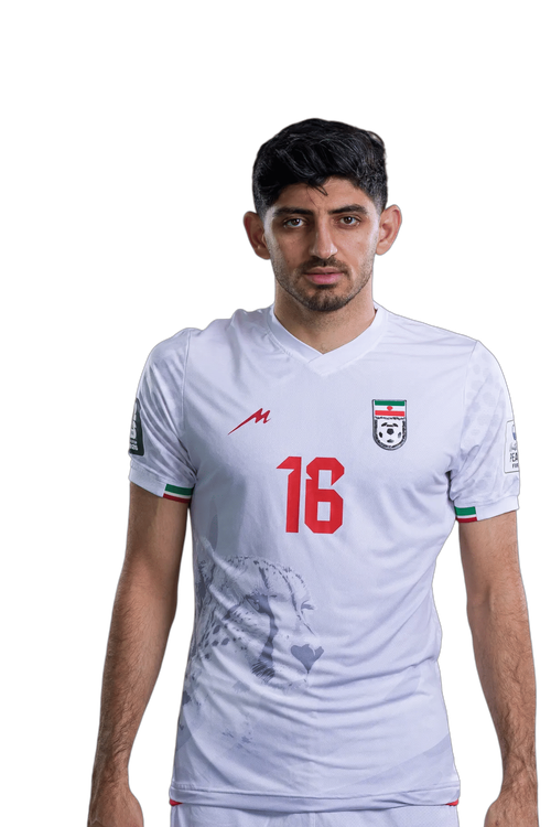 Mehdi TORABI